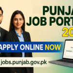 Punjab Job Portal 2026